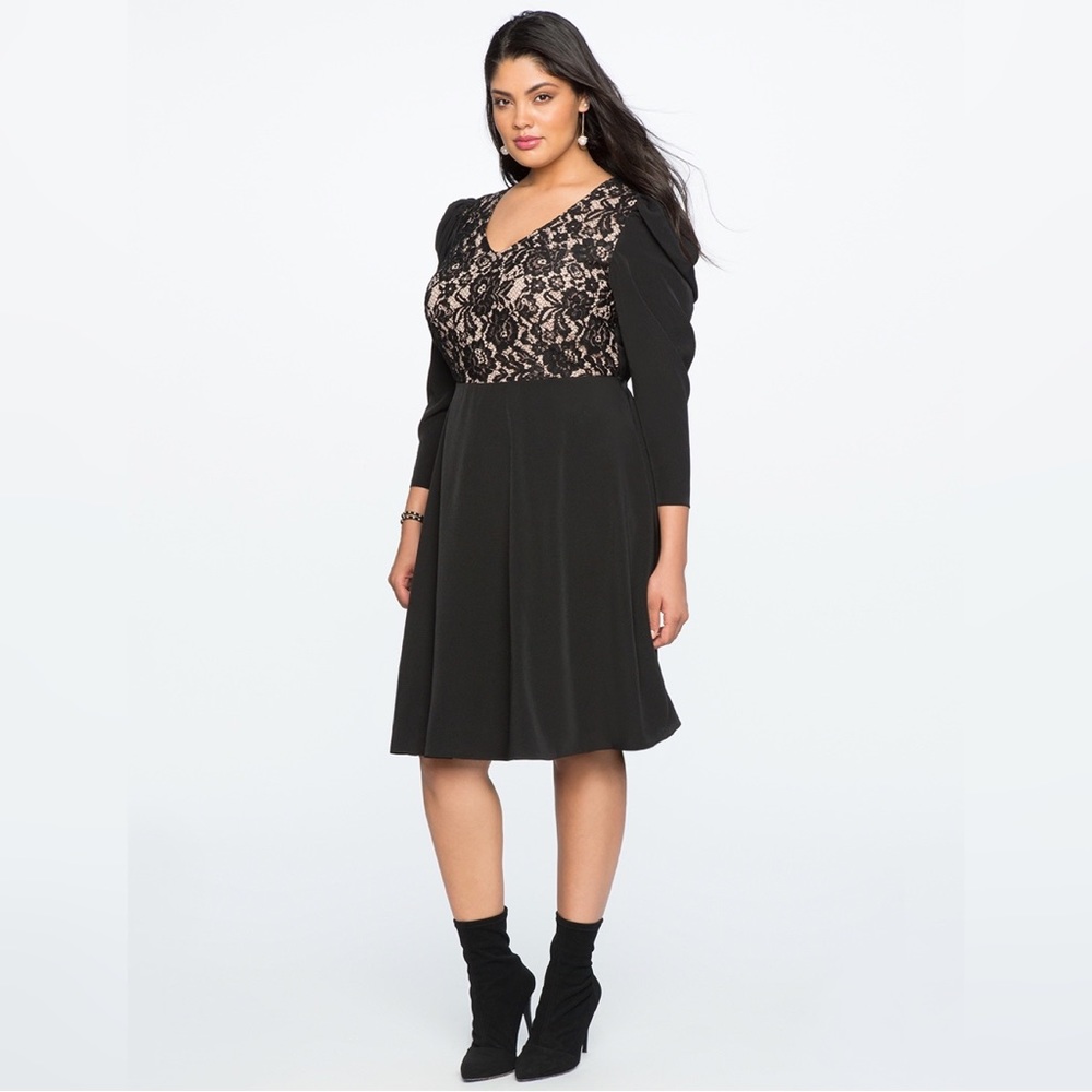 ELOQUII Lace Front Fit & Flare Black and Cream Dress Size 20.
